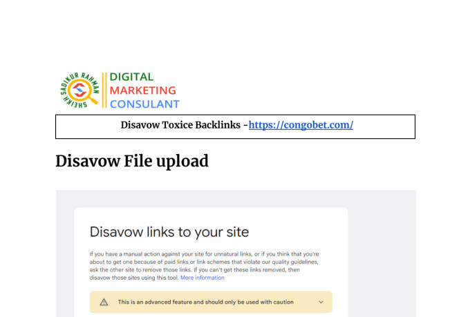 disavow bad backlinks and toxic links to remove the spam